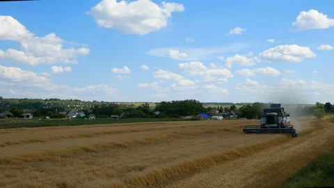 Combine harvester motion in the field Video stock 115215416