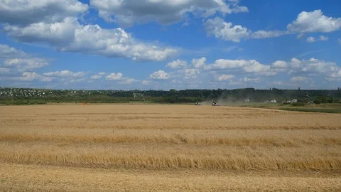 Combine harvester motion in the field Stock Footage 115215511