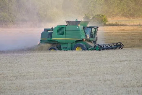 Combine harvester mows the grain in the field in the early evening. Stock Photos