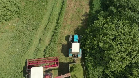 Combine harvester mows grass for silage in the back of a tractor in farmland 動画素材 138342768
