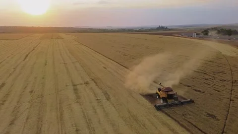 Combine harvester operating on a dry field in Formosa, Goias, Brazil, creating 库存影片 332889266