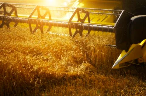 Combine harvester Stock Photos