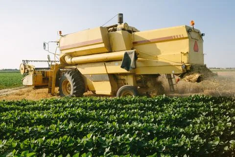 Combine harvester Stock Photos