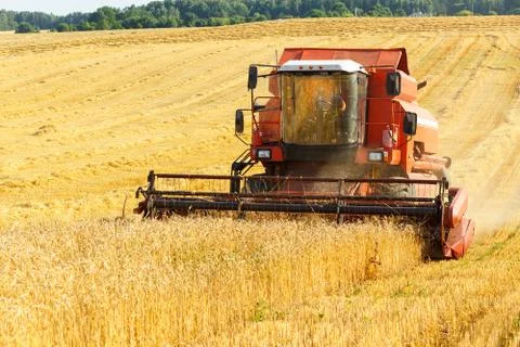 Combine harvester Фото