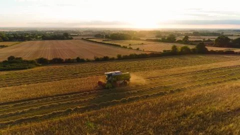 Combine Harvester Stock Photos
