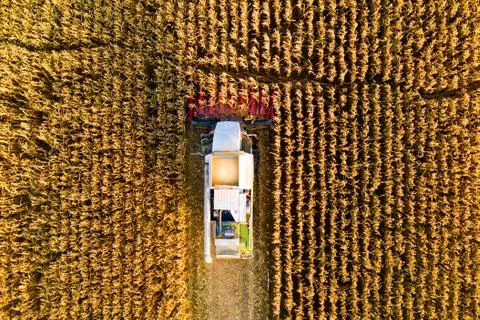Combine harvester Foto stock