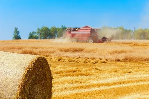 Combine harvester Фото