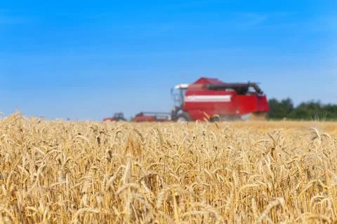 Combine harvester Photos
