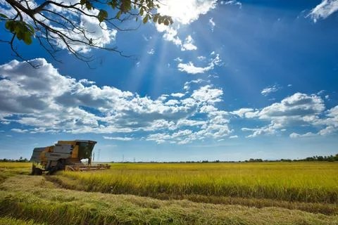 Combine harvester Stock Photos