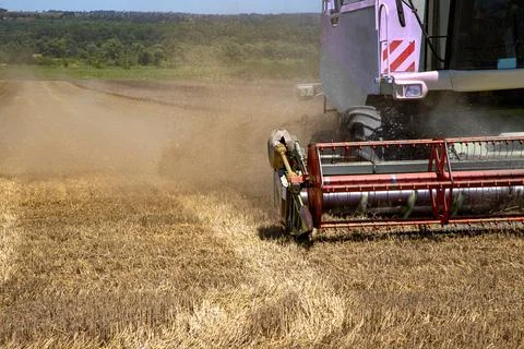 Combine harvester Stock Photos