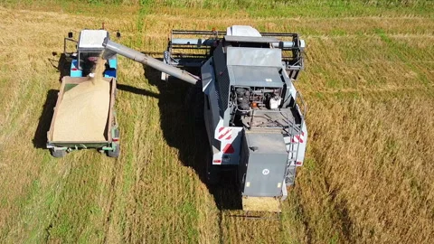 The combine harvester processes the grain that flows into the machine Video stock 138893046