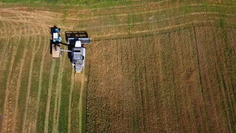 The combine harvester processes the grain that flows into the machine Video stock 139936850