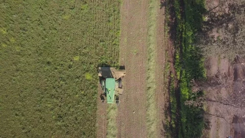 Combine harvester processing a large Wheat field for Silage. Stock Footage 151205090