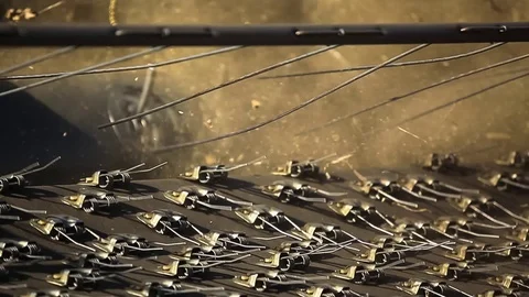 Combine harvester. Rapeseed field. Rape harvesting. Close up Video stock 73138048