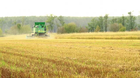 Combine harvester rice Stock Footage 32122461