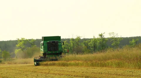 Combine harvester rice Видео 32122801