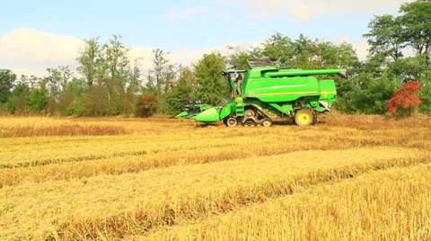 Combine harvester rice Vídeos de archivo 32122804