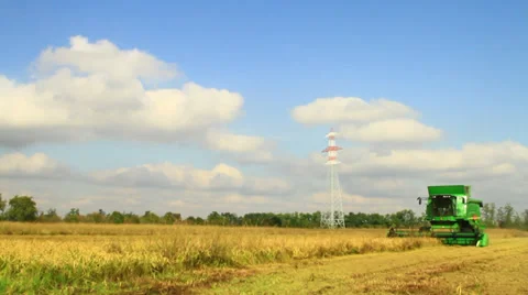 Combine harvester rice Stock-Footage 32142402