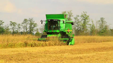 Combine harvester rice Vidéo 32142511