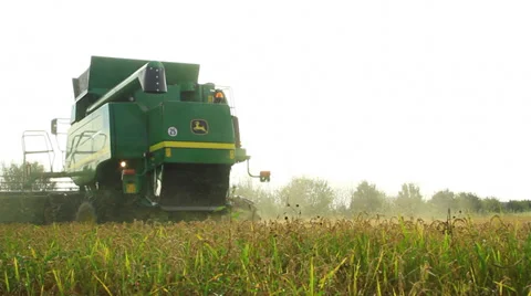 Combine harvester rice Vídeos de archivo 32149960
