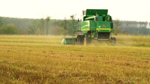 Combine harvester rice Video stock 32150009