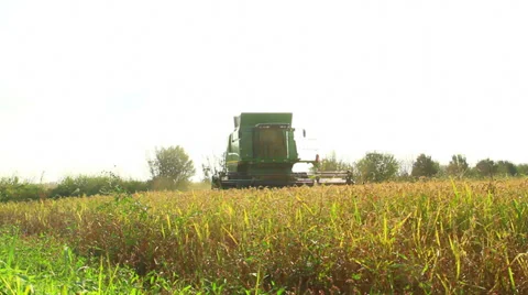 Combine harvester rice Vídeos de archivo 32150087
