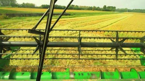 Combine harvester rice Stock-Footage 32162316