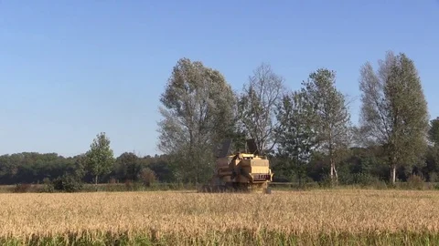 Combine harvester rice Stock Footage 81004519