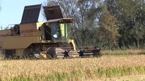 Combine harvester rice Stock Footage 81004529