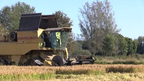 Combine harvester rice Stock Footage 81004825