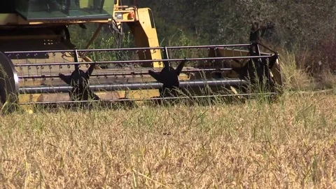 Combine harvester rice Stock Footage 81004939