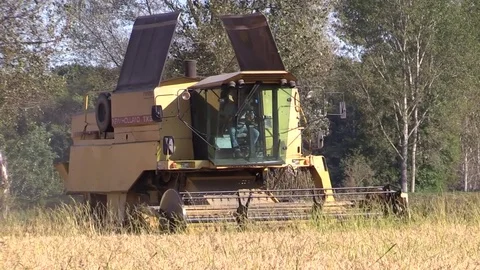 Combine harvester rice Stock Footage 81009725