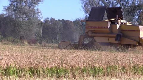 Combine harvester rice Stock Footage 81060994