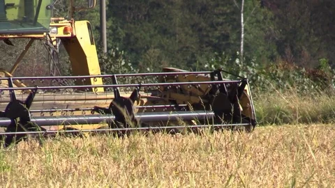 Combine harvester rice Stock Footage 81185933