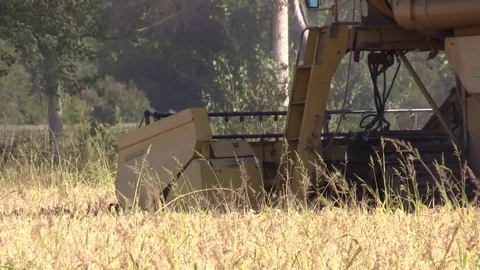 Combine harvester rice Stock Footage 81187236