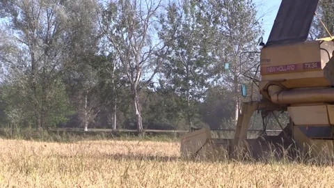 Combine harvester rice Stock Footage 81195705