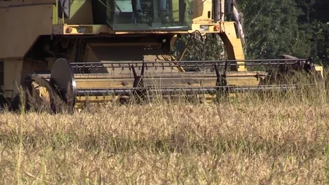 Combine harvester rice Stock Footage 81300844