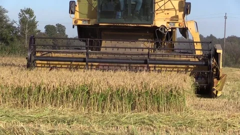 Combine harvester rice Stock Footage 81780378