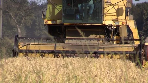 Combine harvester rice Stock Footage 81790670