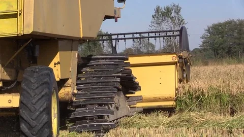 Combine harvester rice Stock Footage 81790755