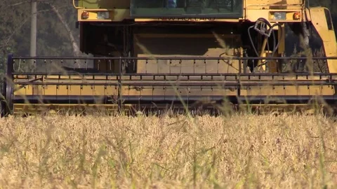 Combine harvester rice Stock Footage 81809969