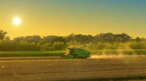 Combine harvester on rye field Stock Footage 12013501