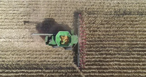 Combine harvester seen from the top adding threshed corn into its reservoir Stock Footage 93820112