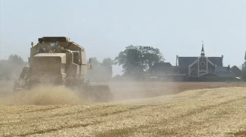 Combine harvester, straw chopper - medium shot Vidéo 40599391