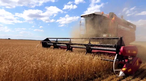 Combine Harvester, sunny day Stock Footage