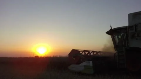 Combine harvester at sunset. 库存影片 65078794