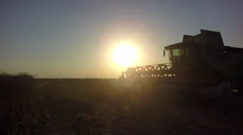 Combine harvester at sunset. 库存影片 65078804