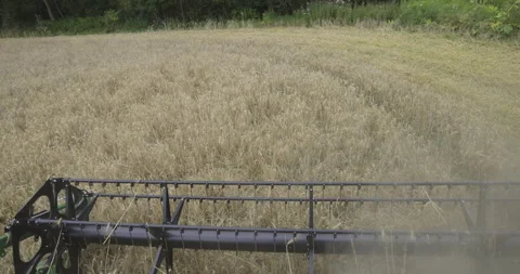 Combine harvester threshing drum close up, 4K slomo Video stock 256359852