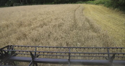 Combine harvester threshing drum close up, 4K slomo Stock Footage 256376922