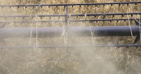 Combine harvester threshing drum close up, 4K Stock Footage 257343517